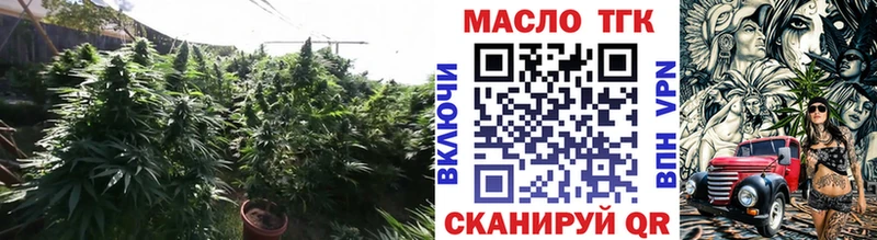 ТГК Wax  Великий Новгород 