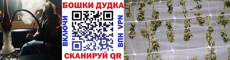 Канабис марихуана  Великий Новгород 